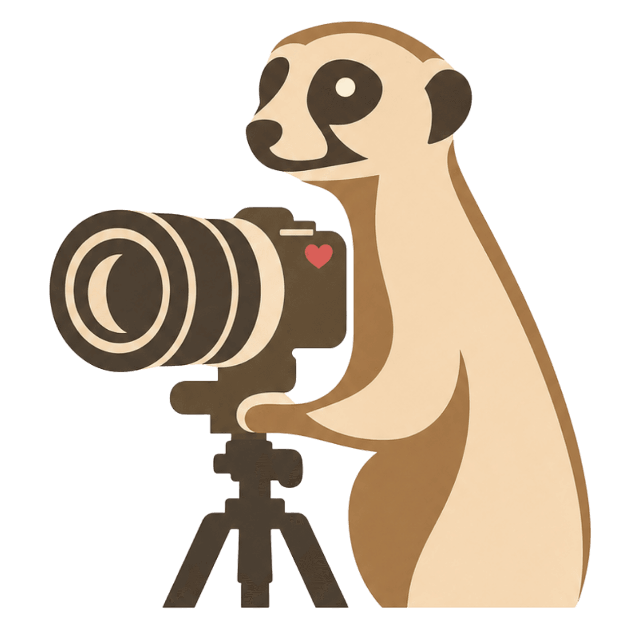 Meerkat Photography